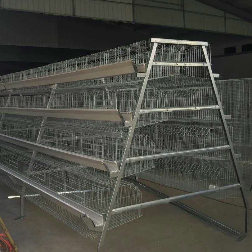 Long service life hot-dip zinc A type battery cage chicken house chicken coop