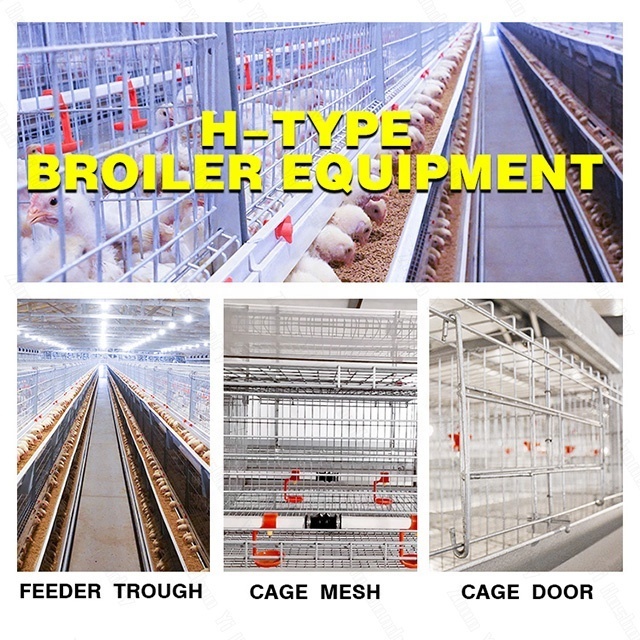 Affordable price hot-sale product Made of vinyl broiler chicken cage farming equipment chicken coop