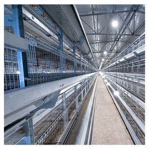 Long service life galvanized sheet chicken breeding cage pullet cage farming equipment