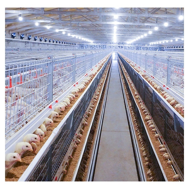 High rearing efficiency hot-sale hot-dip zinc broiler coop poultry battery house broiler chicken cage