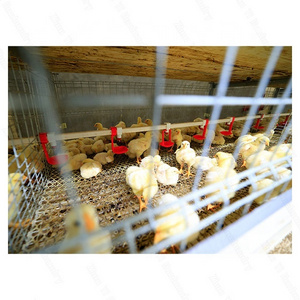 Affordable price hot-sale product Made of vinyl broiler chicken cage farming equipment chicken coop