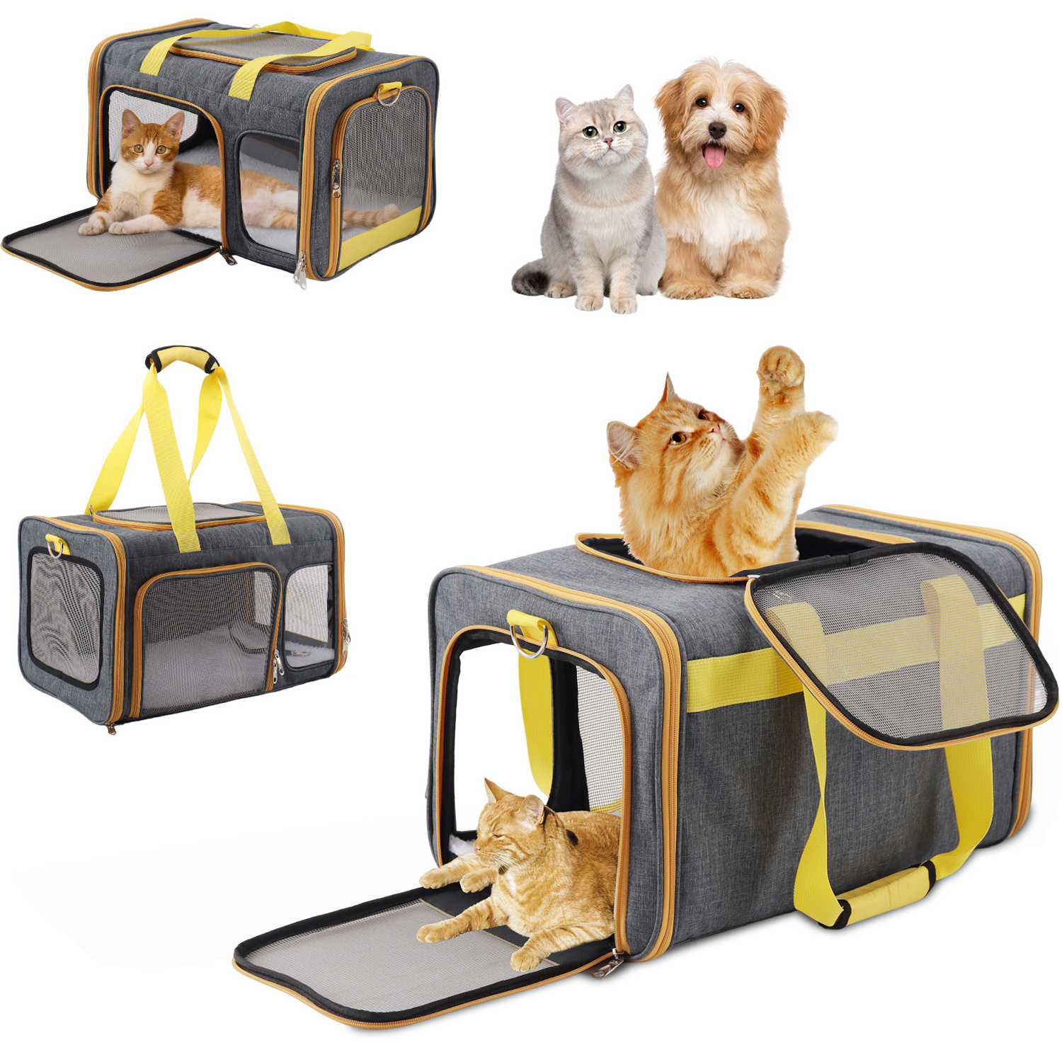 Hot Sale High Quality Durable Airline Approved Pet Carrier Bag Cat Bag Pet Dog Carrier for Travel