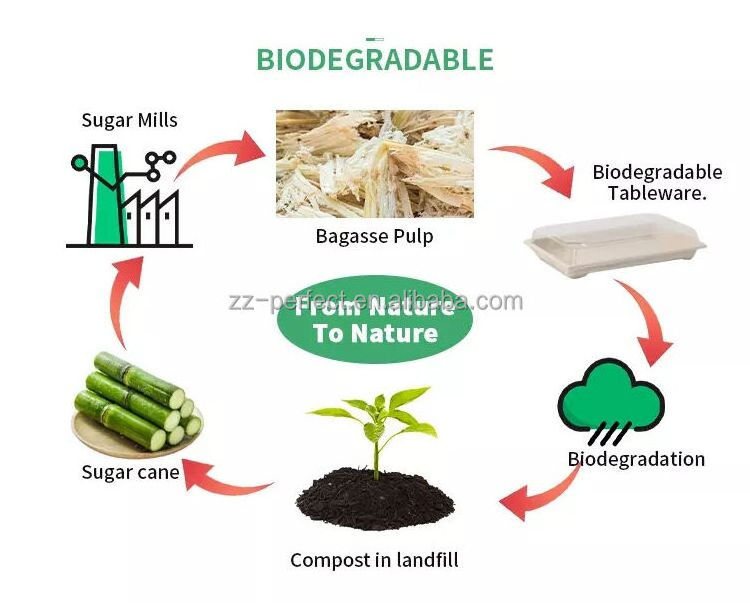 Biodegradable bagasse paper pulp molding plate cup egg tray tableware making machine