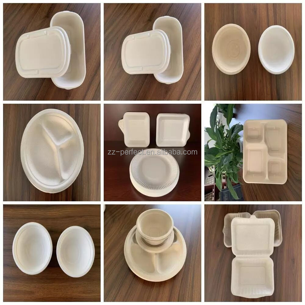 Biodegradable bagasse paper pulp molding plate cup egg tray tableware making machine