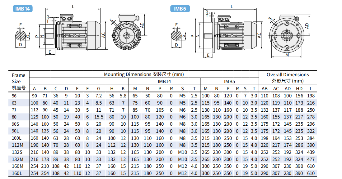 IE3 Series 3 phase 220v 380v AC electric motors High Voltage Squirrel Cage