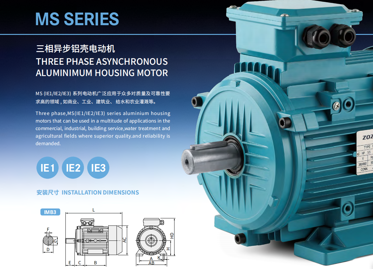 IE3 Series 3 phase 220v 380v AC electric motors High Voltage Squirrel Cage