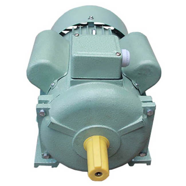 Single Phase 2 HP 1.5 KW 220V Squirrel Cage  AC Asynchronous Electric Induction Motor YC100L-4