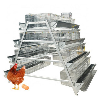 Poultry Farm Equipment Layer Chicken Cage 4 Tiers Manual Broiler Chicken Cage