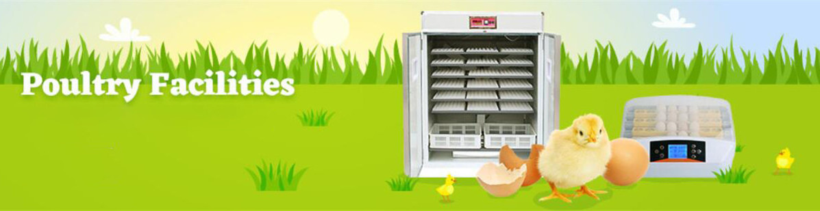 Home use incubator for chicken egg quail egg incubator parrot egg incubator