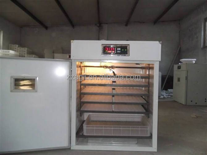 Home use incubator for chicken egg quail egg incubator parrot egg incubator