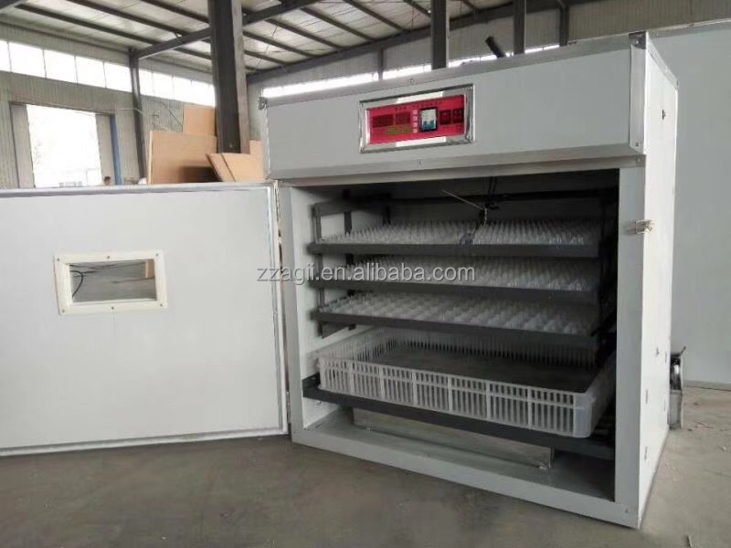 Home use incubator for chicken egg quail egg incubator parrot egg incubator