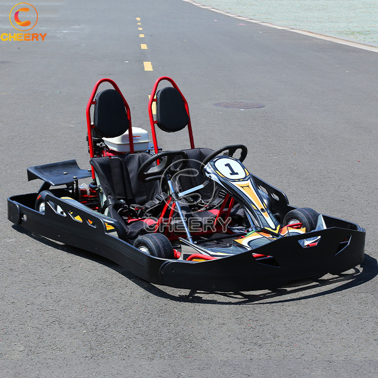 CE Certificate adult luxury double seats go karts 200CC 6.5HP karting cars with line carving guardrail