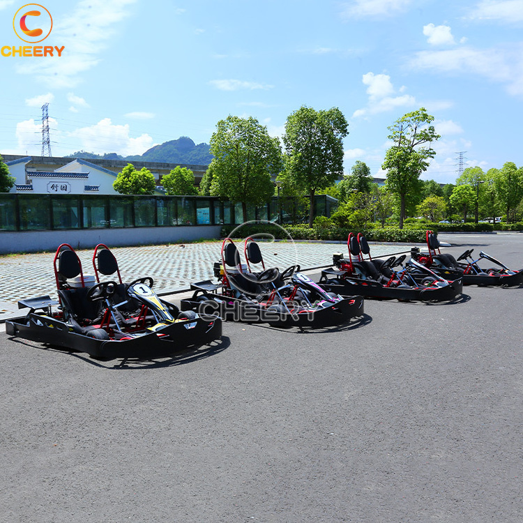 CE Certificate adult luxury double seats go karts 200CC 6.5HP karting cars with line carving guardrail