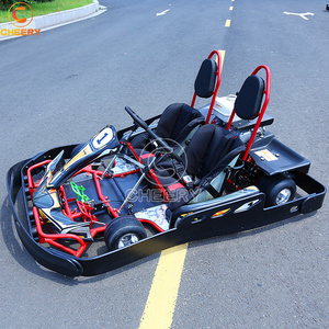 CE Certificate adult luxury double seats go karts 200CC 6.5HP karting cars with line carving guardrail