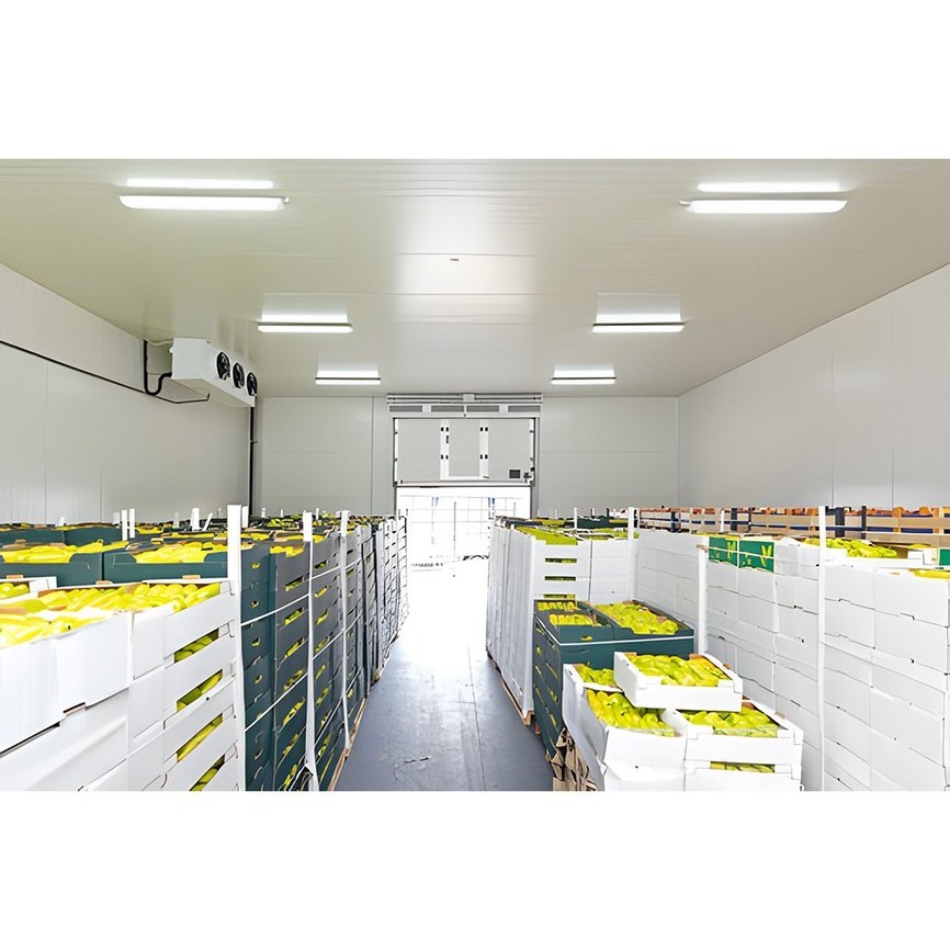 Factory Sale Container Cold Storage Room Walk In Cooler Freezer Ice Storage With Pu Borad Door For Supermarket