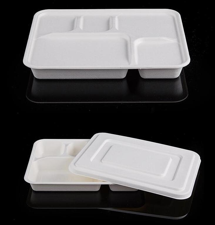 Disposable 5 compartments sugarcane pulp plates Tray Food Container with lids