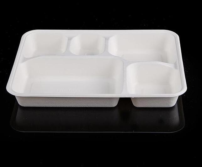 Disposable 5 compartments sugarcane pulp plates Tray Food Container with lids