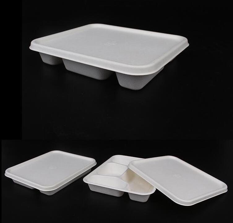 Disposable 5 compartments sugarcane pulp plates Tray Food Container with lids