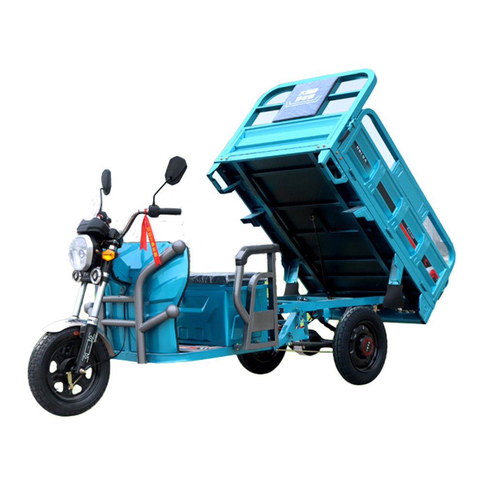 Big Electric Cargo Tricycles 1000W 3 Wheel Trike Bike Trolley For Adults For Winter Farm