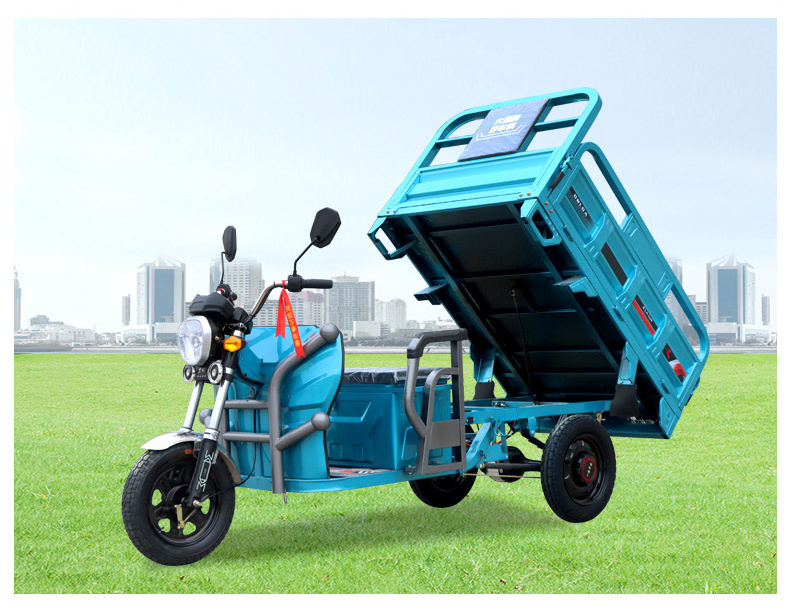 Big Electric Cargo Tricycles 1000W 3 Wheel Trike Bike Trolley For Adults For Winter Farm