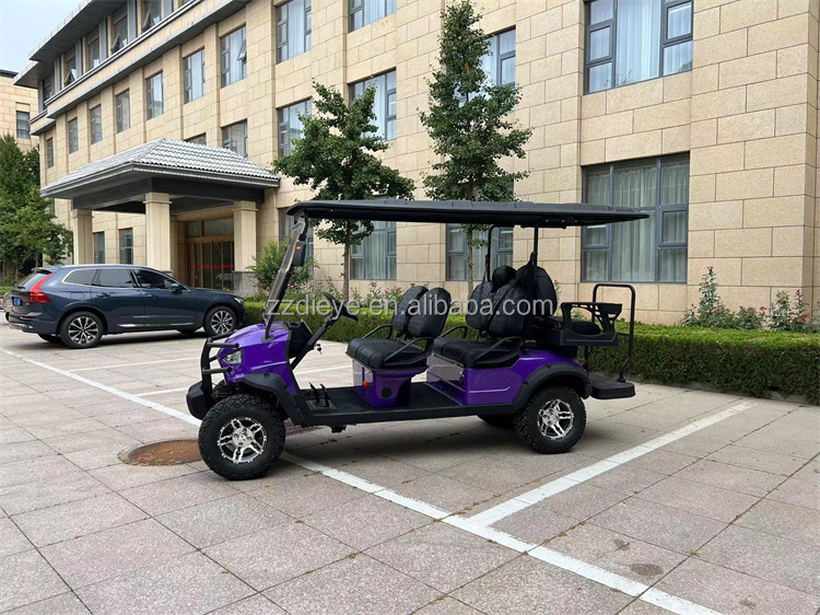 China Supplier Vehicle Bus Golf Electric Scooter Cart with 48v lead acid battery for sale