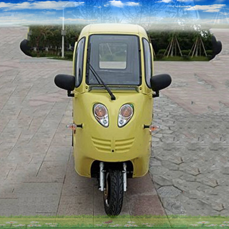 Full Closed Cabin 3 Seater Three Wheeler Electric Bike 60v 1000w Adult Enclosed Electric Tricycle Pasajeros With Plastic Cabin