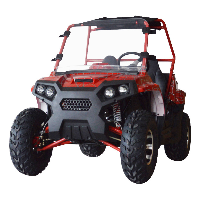 2024 2 Seater Vehicle Car Gas Off Road Dune Buggy for Adult