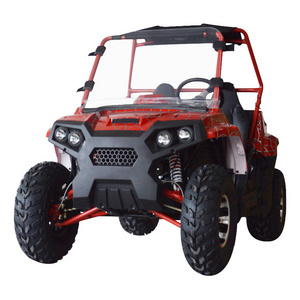 2024 2 Seater Vehicle Car Gas Off Road Dune Buggy for Adult