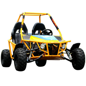 2023 4 Wheels 2 Seater Go Karts Gasoline Dune Buggy