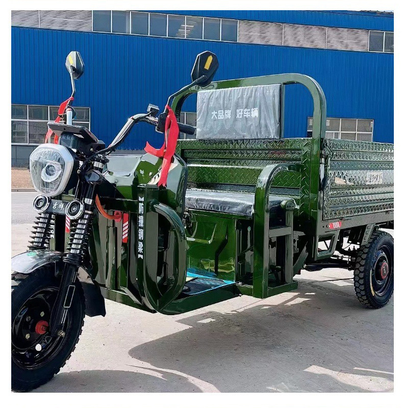 Color Customized Made In China New Electric Pickup 3 wheel Mini Trucks Electric Cargo Vehicle