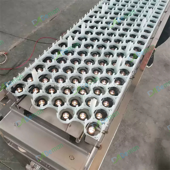 168pcs egg candler 30 to 42 egg lifter transfer machine egg candling machine for Tunnel hatcher