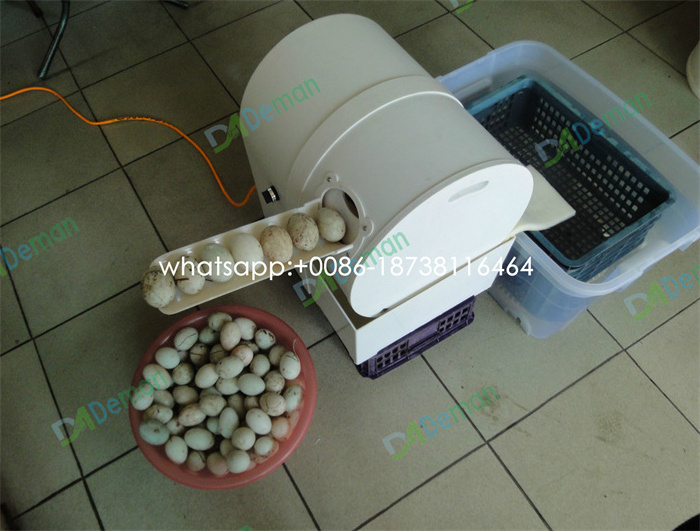 Hot sell Dirty eggs washer brush roller chicken egg cleaning machine quail egg washing machine