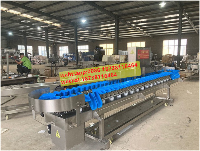 Rotary lobster weight classifier Sea cucumber abalone sorting scale Crab weighing grading machine for sale