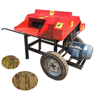 Industrial commercial Hemp Peeling Machine Abaca Decorticating Banana Fiber Extraction Machine