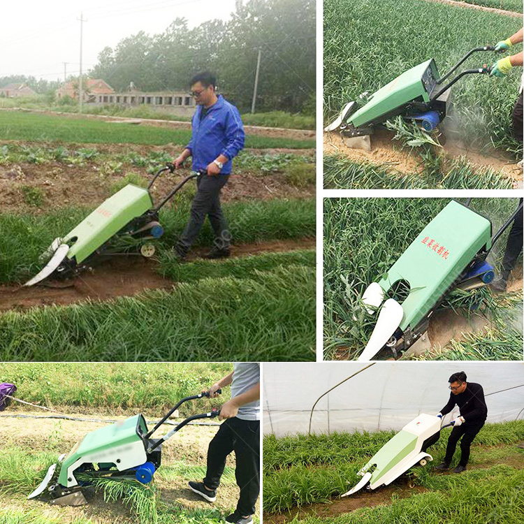 Chives reaping machine/harvester for fragrant-flowered garlic /leeks harvest machine