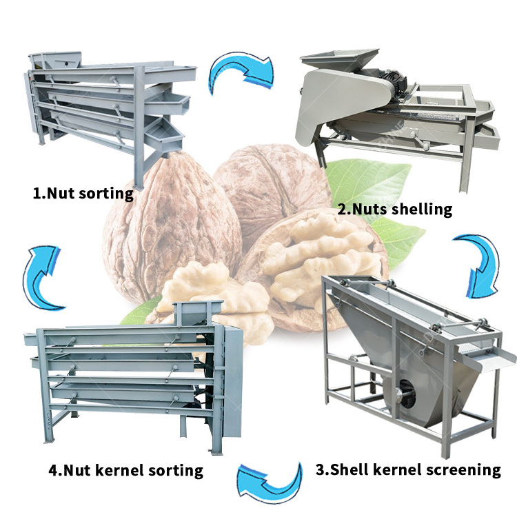 Easy Operate Husking Machine Palm Kernel Cracking Machine Pecan Kernel Shell Cracker