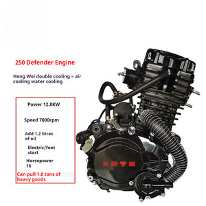 Motorcycle Engine [Hanwei 200 Liquid-Cooled] for Tricycles  zongshen engine //scooter engine