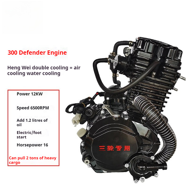 Motorcycle Engine [Hanwei 300 Liquid-Cooled Trike Engine scooter engine  //zongshen engine