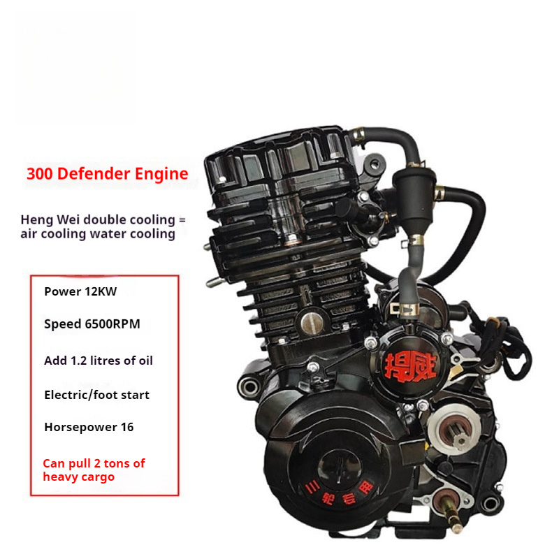 Motorcycle Engine [Hanwei 300 Liquid-Cooled Trike Engine scooter engine  //zongshen engine