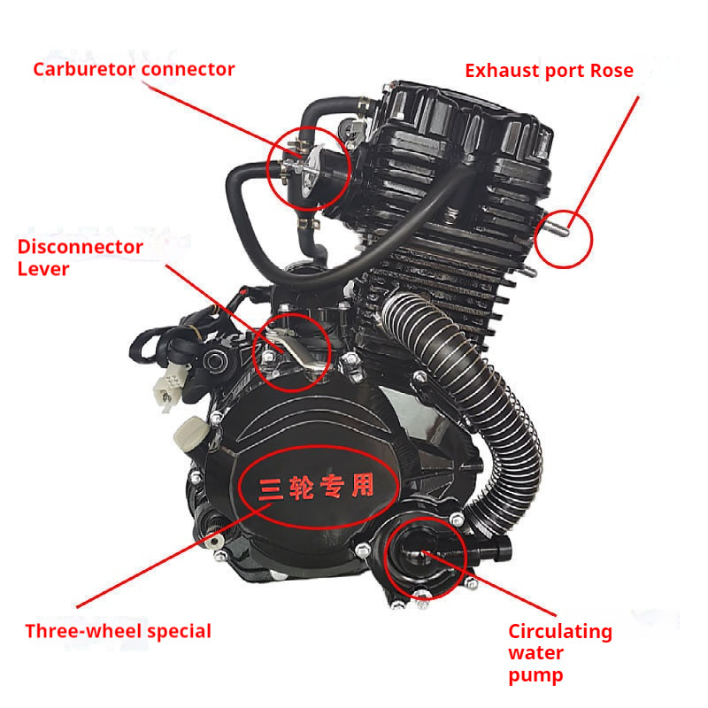 Motorcycle Engine [Hanwei 300 Liquid-Cooled Trike Engine scooter engine  //zongshen engine