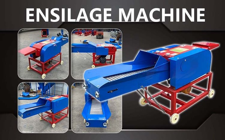 Forage Chopper Grass Shredder Fodder Cutting Machine Chaff Cutter Machine Straw Cutting Machine