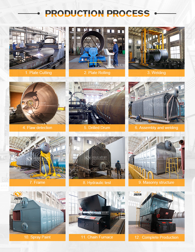 12 Ton Biomass Coal Fired Steam Boiler 1mw Price for Industry Usage