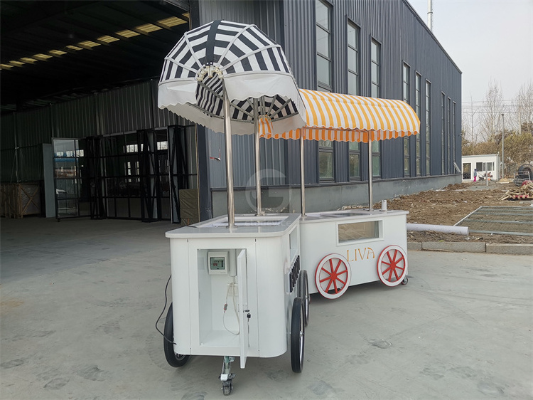 Customized beautiful Gelato Ice Cream Pop Cart Hand Push Mobile Van with umbrella