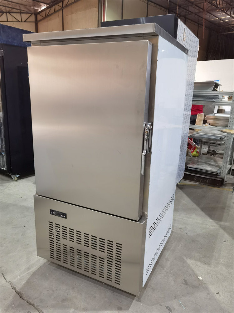 10 Pans high quality blast freezer Commercial  Refrigerator Chiller for fish