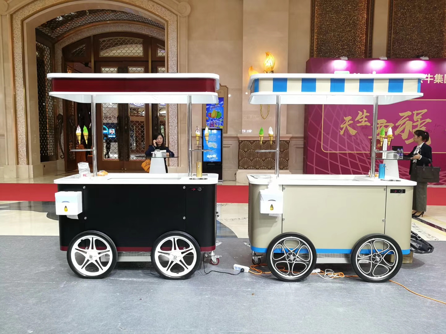 Stainless steel Portable usa used ice cream push cart