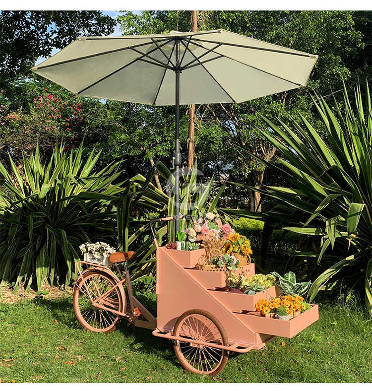 Mobile Coffee Bike Cart Electric Tricycle Food Bike Cart Ice Cream Cart outdoor cargo bike