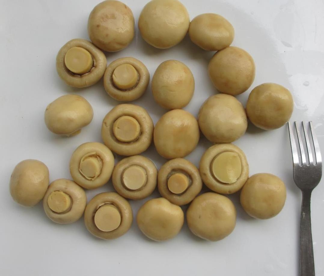 400g 425g 820g 2500g 3000g A10 Canned Foods button slice piece and stem champignon mushroom