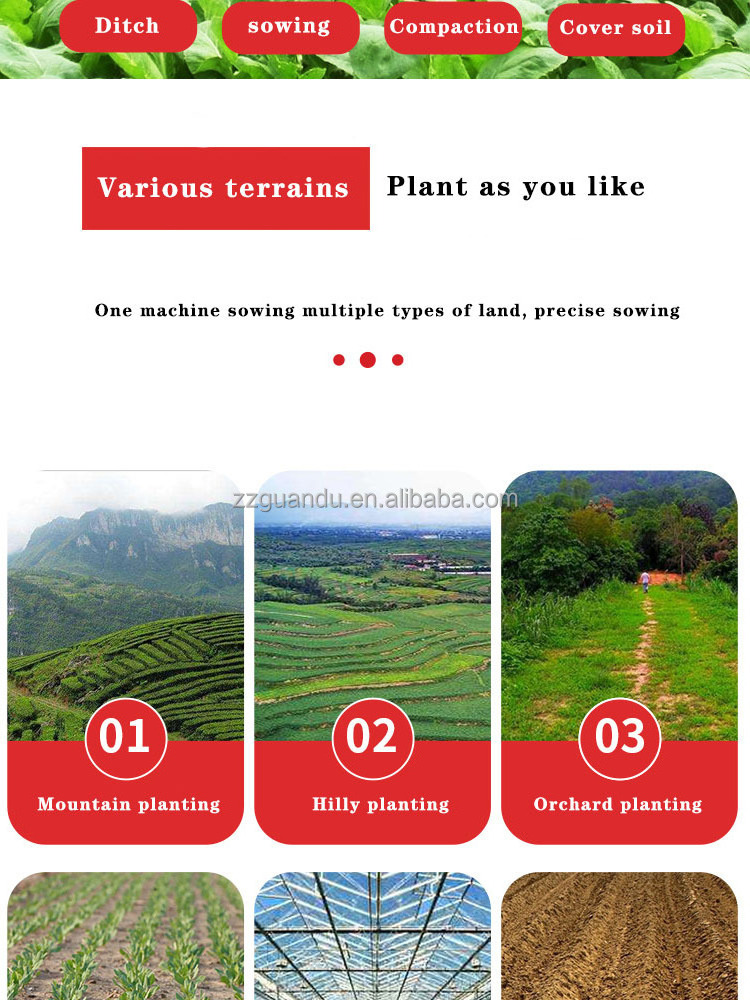 ZZGD Small agricultural hand push electric and gasoline model small seed planter onion planter for sale manual vegetable seeder