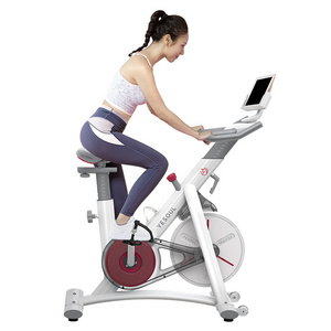 Yesoul pro commercial indoor cycling work magnetic excersice mini spinning spin indoor bike