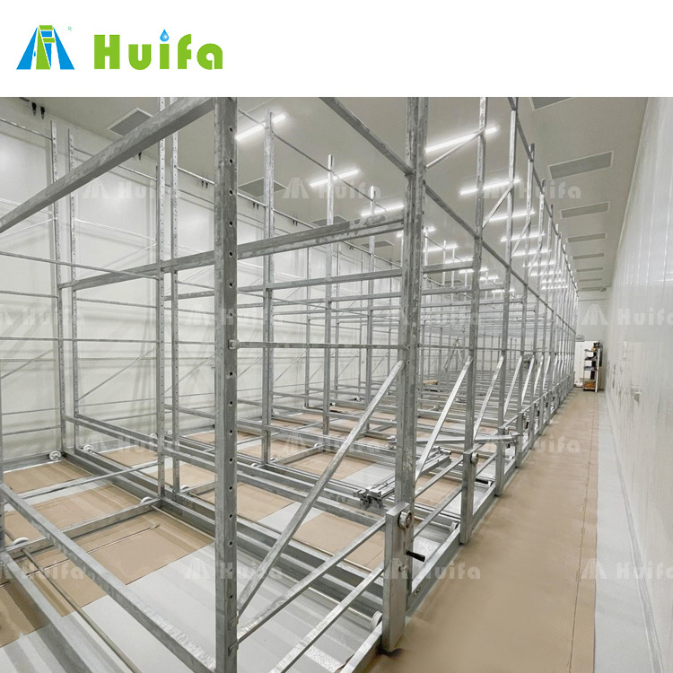 Hydroponic Greenhouse Indoor Plant Grow Rack Double Deck Shelves Commercial Vertical Racks For Lettuce Growing